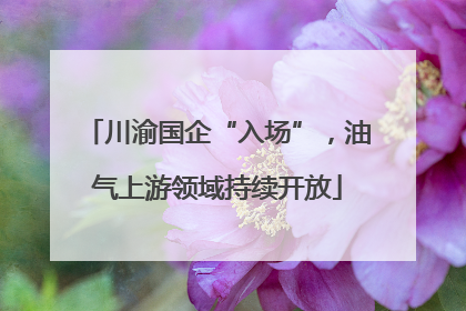 川渝国企“入场”，油气上游领域持续开放