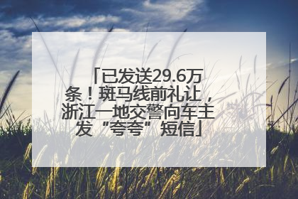 已发送29.6万条！斑马线前礼让，浙江一地交警向车主发“夸夸”短信