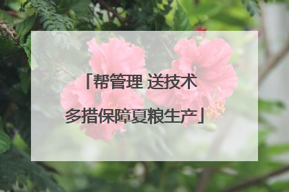 帮管理 送技术 多措保障夏粮生产