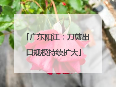 广东阳江：刀剪出口规模持续扩大
