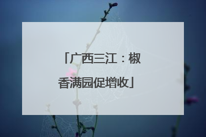 广西三江：椒香满园促增收