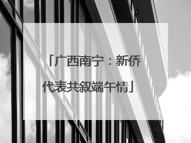 广西南宁：新侨代表共叙端午情