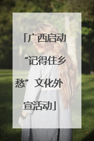 广西启动“记得住乡愁”文化外宣活动