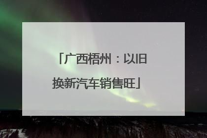 广西梧州：以旧换新汽车销售旺