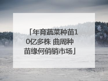 年育蔬菜种苗10亿多株 曲周种苗缘何俏销市场