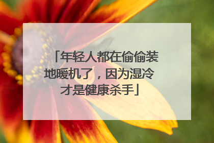 年轻人都在偷偷装地暖机了，因为湿冷才是健康杀手