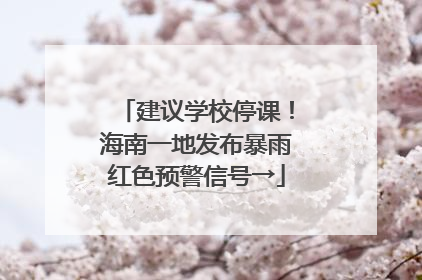建议学校停课！海南一地发布暴雨红色预警信号→