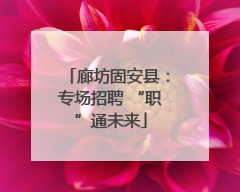 廊坊固安县：专场招聘 “职”通未来