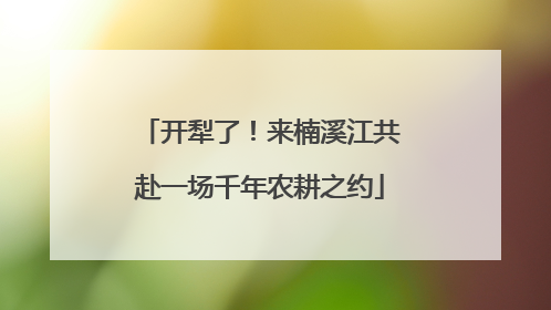 开犁了！来楠溪江共赴一场千年农耕之约