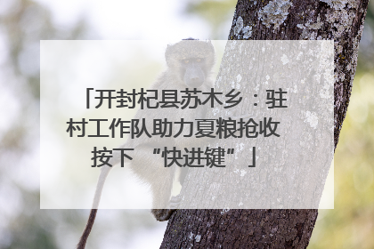 开封杞县苏木乡：驻村工作队助力夏粮抢收按下 “快进键”