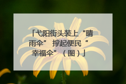 弋阳街头装上“晴雨伞” 撑起便民“幸福伞”（图）