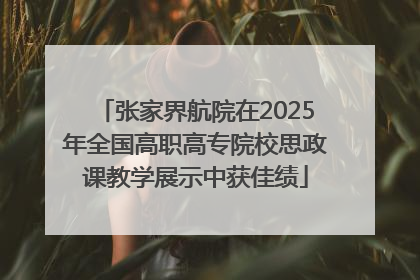 张家界航院在2025年全国高职高专院校思政课教学展示中获佳绩