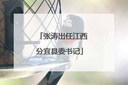 张涛出任江西分宜县委书记