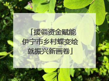 援疆资金赋能 伊宁市乡村蝶变绘就振兴新画卷