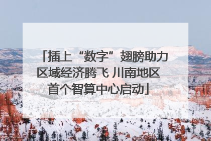 插上“数字”翅膀助力区域经济腾飞 川南地区首个智算中心启动