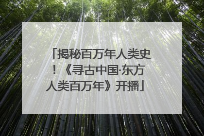 揭秘百万年人类史！《寻古中国·东方人类百万年》开播