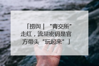 捞舆｜“青交所”走红，流量密码是官方带头“玩起来”