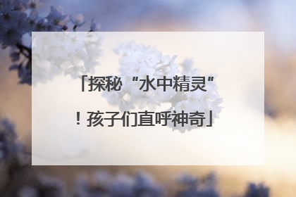 探秘“水中精灵”！孩子们直呼神奇