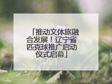 推动文体旅融合发展！辽宁省匹克球推广启动仪式启幕
