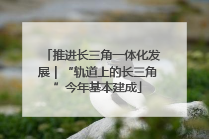推进长三角一体化发展｜“轨道上的长三角”今年基本建成