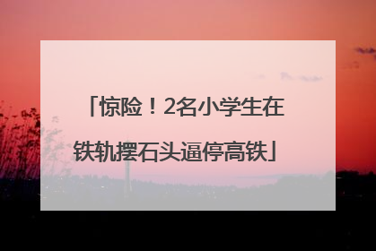 惊险！2名小学生在铁轨摆石头逼停高铁