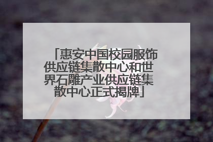 惠安中国校园服饰供应链集散中心和世界石雕产业供应链集散中心正式揭牌