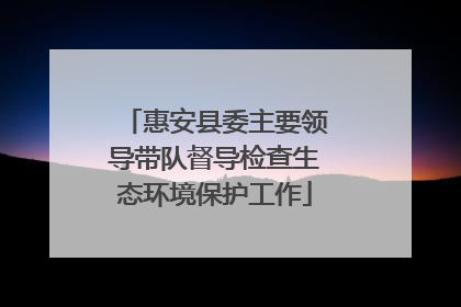 惠安县委主要领导带队督导检查生态环境保护工作
