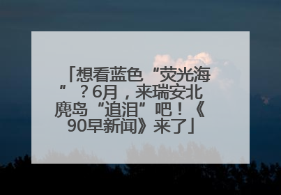 想看蓝色“荧光海”？6月，来瑞安北麂岛“追泪”吧！《90早新闻》来了