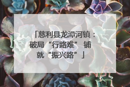 慈利县龙潭河镇：破局“行路难” 铺就“振兴路”