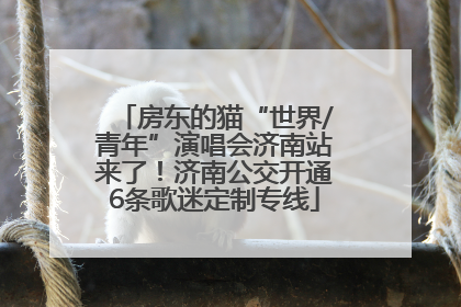 房东的猫“世界/青年”演唱会济南站来了！济南公交开通6条歌迷定制专线