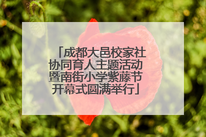 成都大邑校家社协同育人主题活动暨南街小学紫藤节开幕式圆满举行