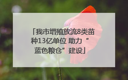 我市增殖放流8类苗种13亿单位 助力“蓝色粮仓”建设