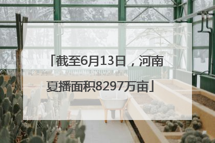 截至6月13日，河南夏播面积8297万亩