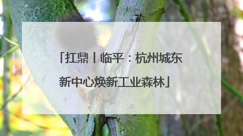 扛鼎丨临平：杭州城东新中心焕新工业森林
