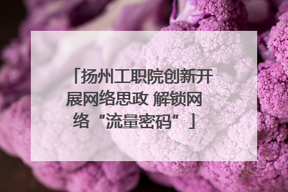 扬州工职院创新开展网络思政 解锁网络“流量密码”