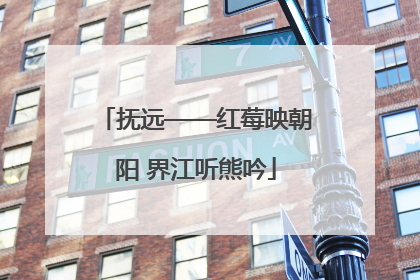 抚远——红莓映朝阳 界江听熊吟