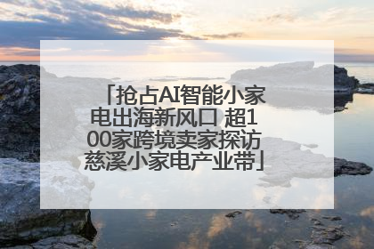 抢占AI智能小家电出海新风口 超100家跨境卖家探访慈溪小家电产业带