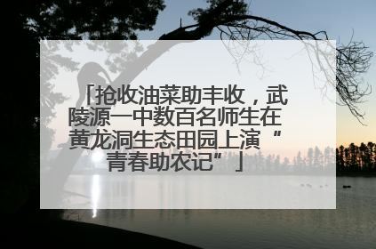 抢收油菜助丰收，武陵源一中数百名师生在黄龙洞生态田园上演“青春助农记”