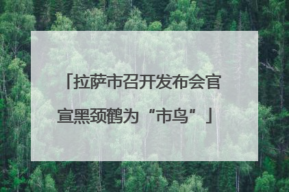 拉萨市召开发布会官宣黑颈鹤为“市鸟”