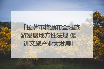 拉萨市将颁布全域旅游发展地方性法规 促进文旅产业大发展