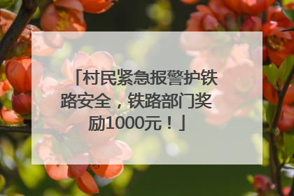 村民紧急报警护铁路安全，铁路部门奖励1000元！