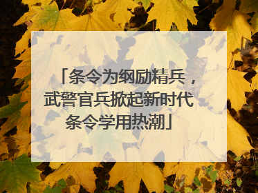 条令为纲励精兵，武警官兵掀起新时代条令学用热潮