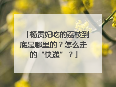 杨贵妃吃的荔枝到底是哪里的？怎么走的“快递”？