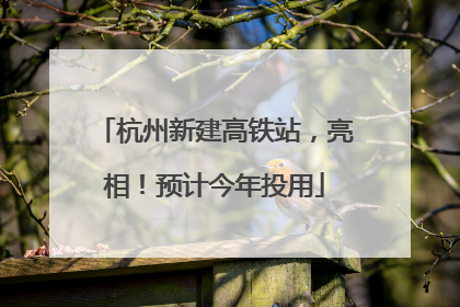 杭州新建高铁站，亮相！预计今年投用