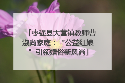 枣强县大营镇教师曹淑尚家庭：“公益红娘”引领婚俗新风尚