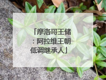 摩洛哥王储：阿拉维王朝低调继承人