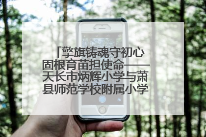 擎旗铸魂守初心 固根育苗担使命——天长市炳辉小学与萧县师范学校附属小学结对共建活动纪实