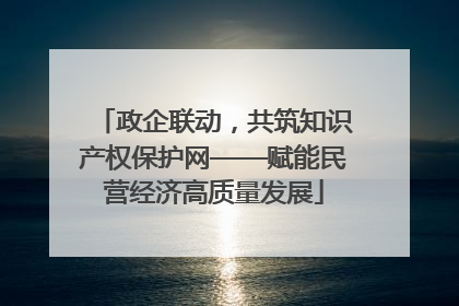 政企联动，共筑知识产权保护网——赋能民营经济高质量发展