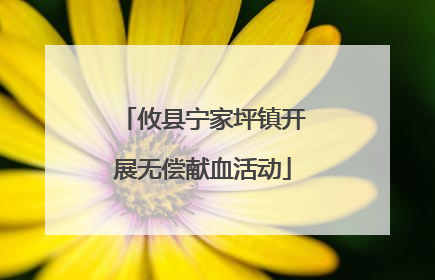 攸县宁家坪镇开展无偿献血活动