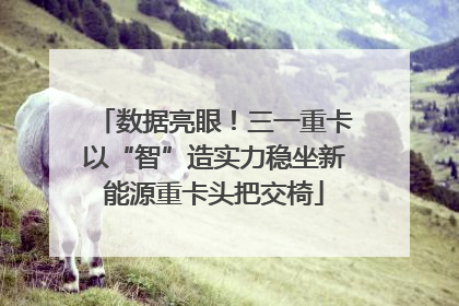 数据亮眼！三一重卡以“智”造实力稳坐新能源重卡头把交椅